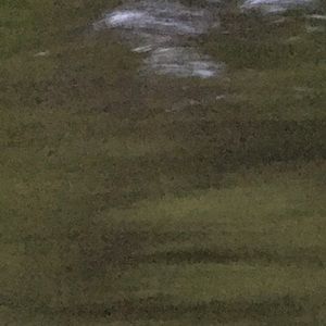 Meet your Posher, Dalik